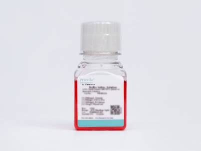 Nanobacteria Removal Complete Medium (10) (MEMα, without Nucleoside)