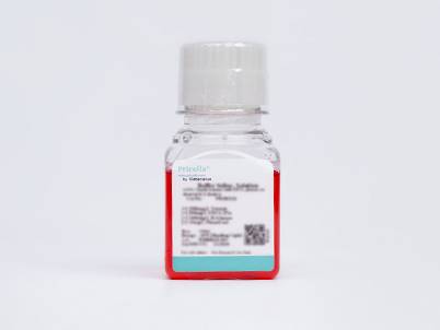 Nanobacteria Removal Complete Medium (20) (MEMα, without Nucleoside)