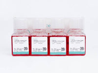 MEMα (without nucleoside) Complete Medium (20)