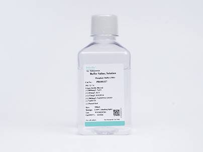 MEMα (without Phenol Red)