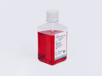 MEM (with L- alanyl -L-glutamine)