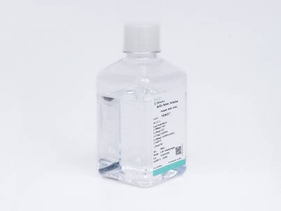 MEM (without Phenol Red, L-glutamine, with HEPES)