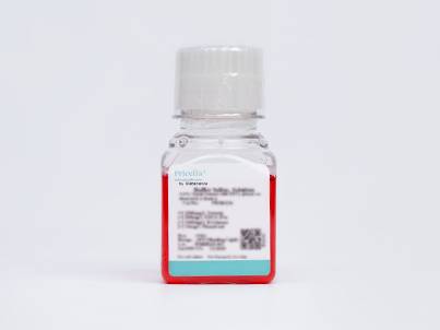 Mycoplasma Removal Medium (IMDM)