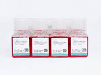 IMDM Complete Medium (10)