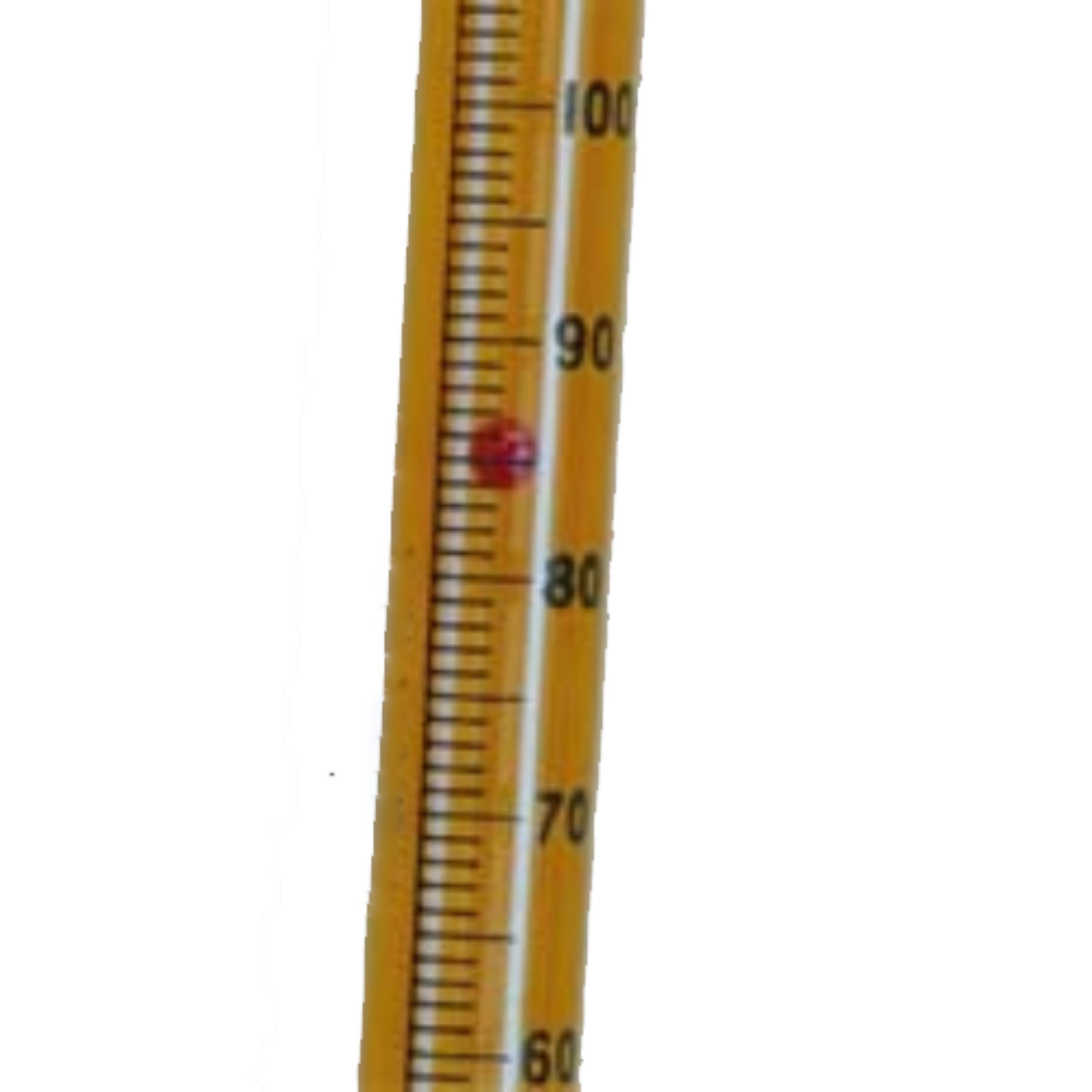Aalborg P-Meter 1-Tube 150 mm Stainless Steel CV Inlet Viton-A Seals 1/8" FNPT (50ml/Min. Water )