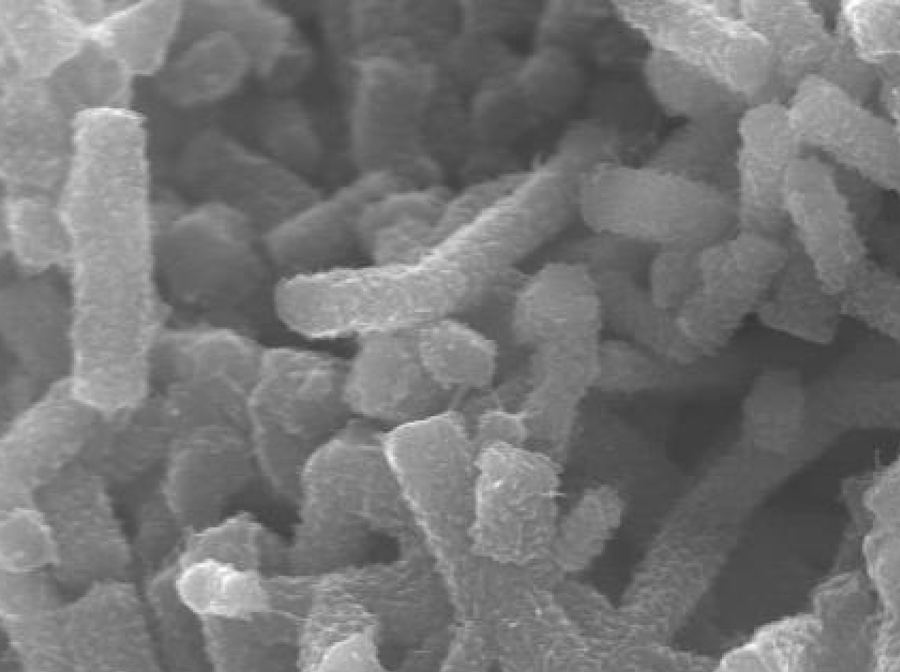 MSE PRO Polyaniline Rod Powder, 5g/bottle, Chemicals and Compounds, MSE Supplies LLC, MSE Supplies