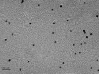 MSE PRO 10mL Bovine Serum Albumin (BSA) Au nanoclusters Water Solution, 0.1mg/mL - MSE Supplies LLC