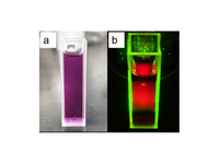 MSE PRO Water-Soluble Red Fluorescence Carbon Quantum Dot Powder/Dispersion