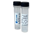 Accuris High Fidelity Taq Polymerase (Supplied Separate from Buffer or with 2X Master Mix) - MSE Supplies LLC