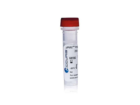 Accuris qMAX Probe qPCR Mix - MSE Supplies LLC