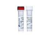 Accuris qMax cDNA Synthesis Kit - MSE Supplies LLC