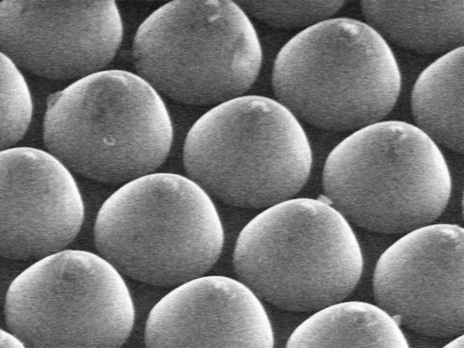 MSE PRO 4 inch Patterned Sapphire Substrates (PSS) for Light Emitting Diodes (LEDs), Wafers, MSE Supplies LLC, MSE Supplies