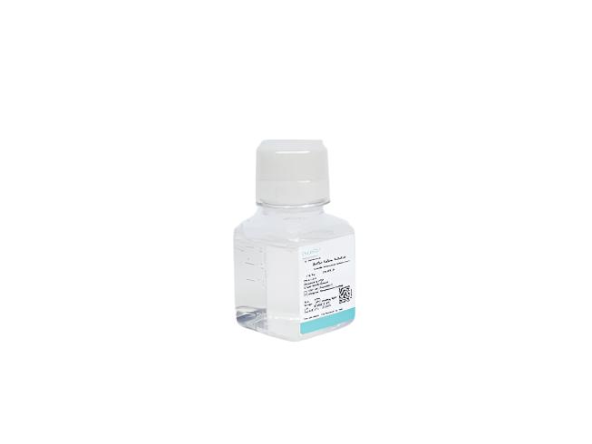 Penicillin-Streptomycin-Glutamine Solution (100×)
