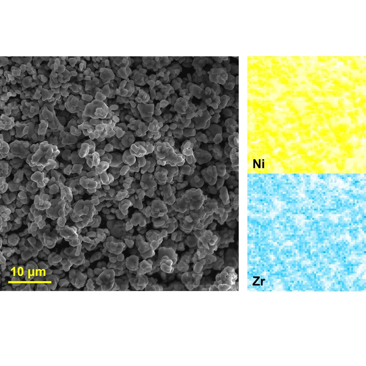 Ampcera® Lithium Zirconium Oxide (0.4wt%) Coated Single Crystal Ni82 Cathode Powder - Battery Consumables - Ampcera - MSE Supplies