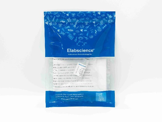 ZMAT3 Polyclonal Antibody Store at -20°C, Biomarkers, Elabscience Biotechnology, MSE Supplies
