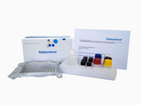 Porcine CKMB(Creatine Kinase MB Isoenzyme) ELISA Kit, Cell Assays, Elabscience Biotechnology, MSE Supplies