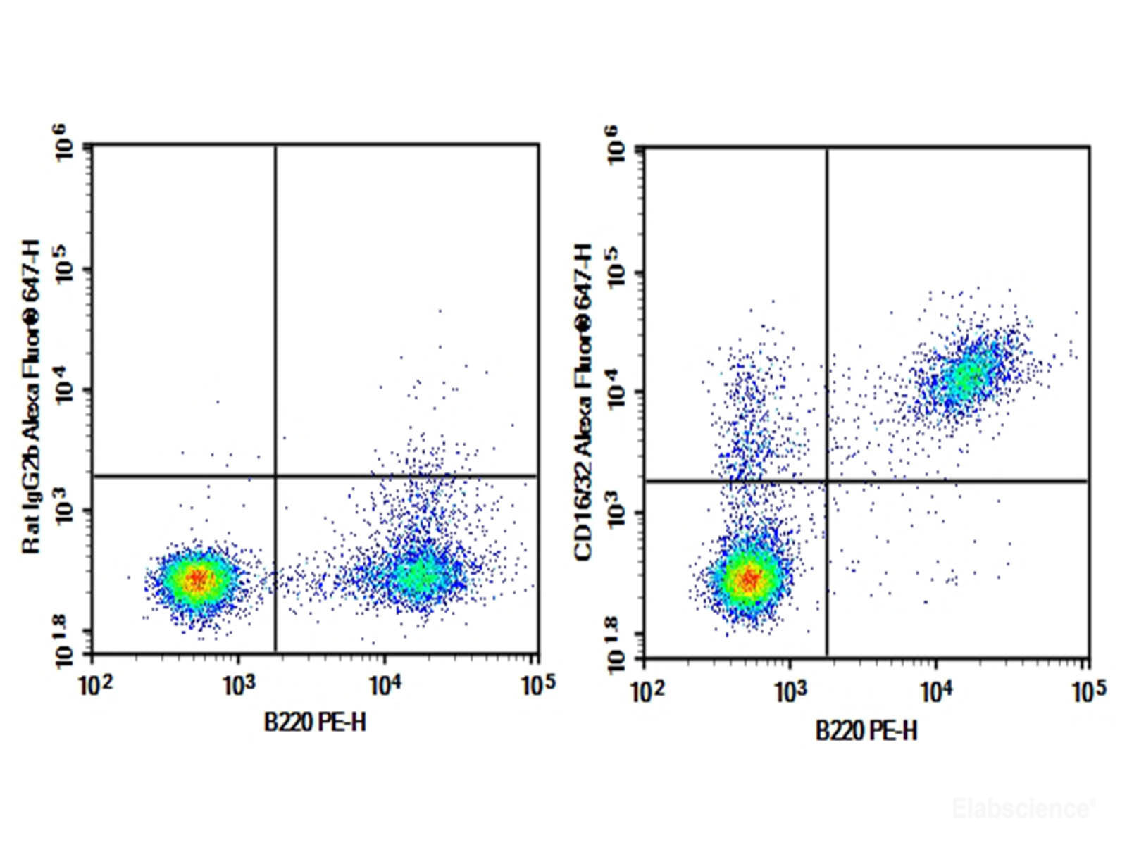 Purified Anti-Mouse CD16/32 Antibody[2.4G2], Biomarkers, Elabscience Biotechnology, MSE Supplies