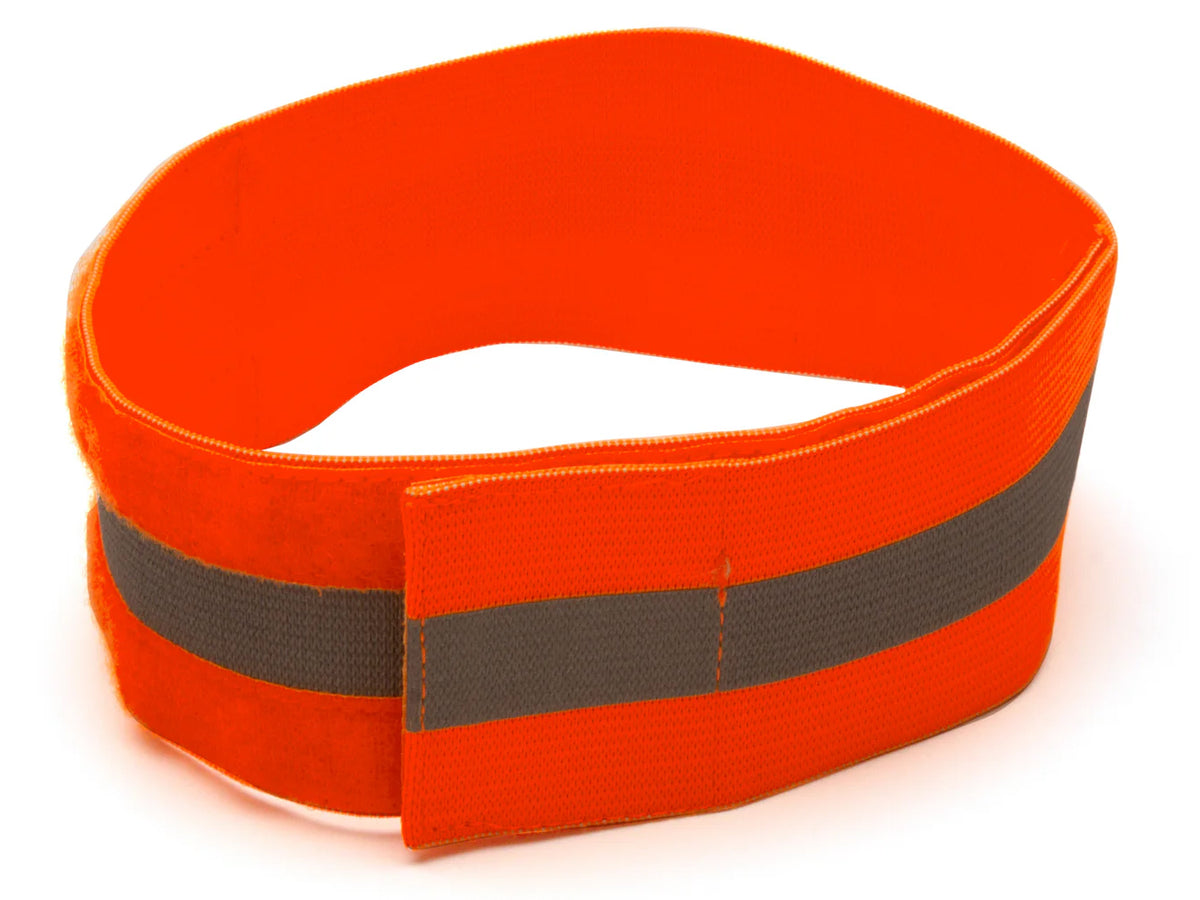 PYRAMEX Other RAB Series, PK of 12 - MSE Supplies LLC