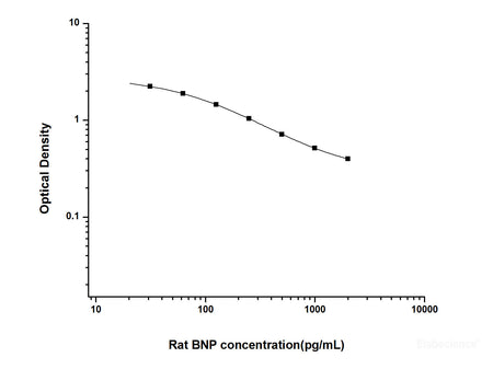 Rat BNP(Brain Natriuretic Peptide) ELISA Kit, Cell Assays, Elabscience Biotechnology, MSE Supplies