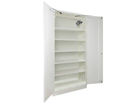 Ecosafe Safety Cabinet Lithium Batteries Tall 2 Doors + EX200LI + 5 E04LI - MSE Supplies LLC