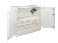 Ecosafe Safety Cabinet Lithium Batteries Counter 2 Doors + EX100LI + E06LI - MSE Supplies LLC