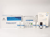 SARS-CoV-2 Nucleocapsid Protein IgM ELISA Kit, Cell Assays, Elabscience Biotechnology, MSE Supplies