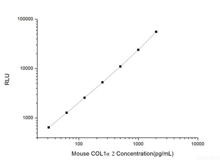 Mouse COL1α2 (Collagen Type I Alpha 2) CLIA Kit, Cell Assays, Elabscience Biotechnology, MSE Supplies