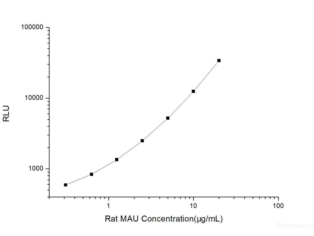 Rat MAU (Microalbuminuria) CLIA Kit, Cell Assays, Elabscience Biotechnology, MSE Supplies