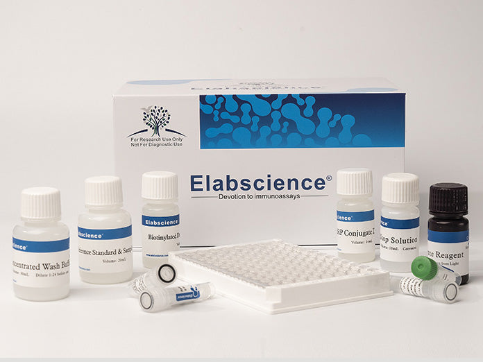 ST/5-HT(Serotonin/5-Hydroxytryptamine) ELISA Kit, Cell Assays, Elabscience Biotechnology, MSE Supplies