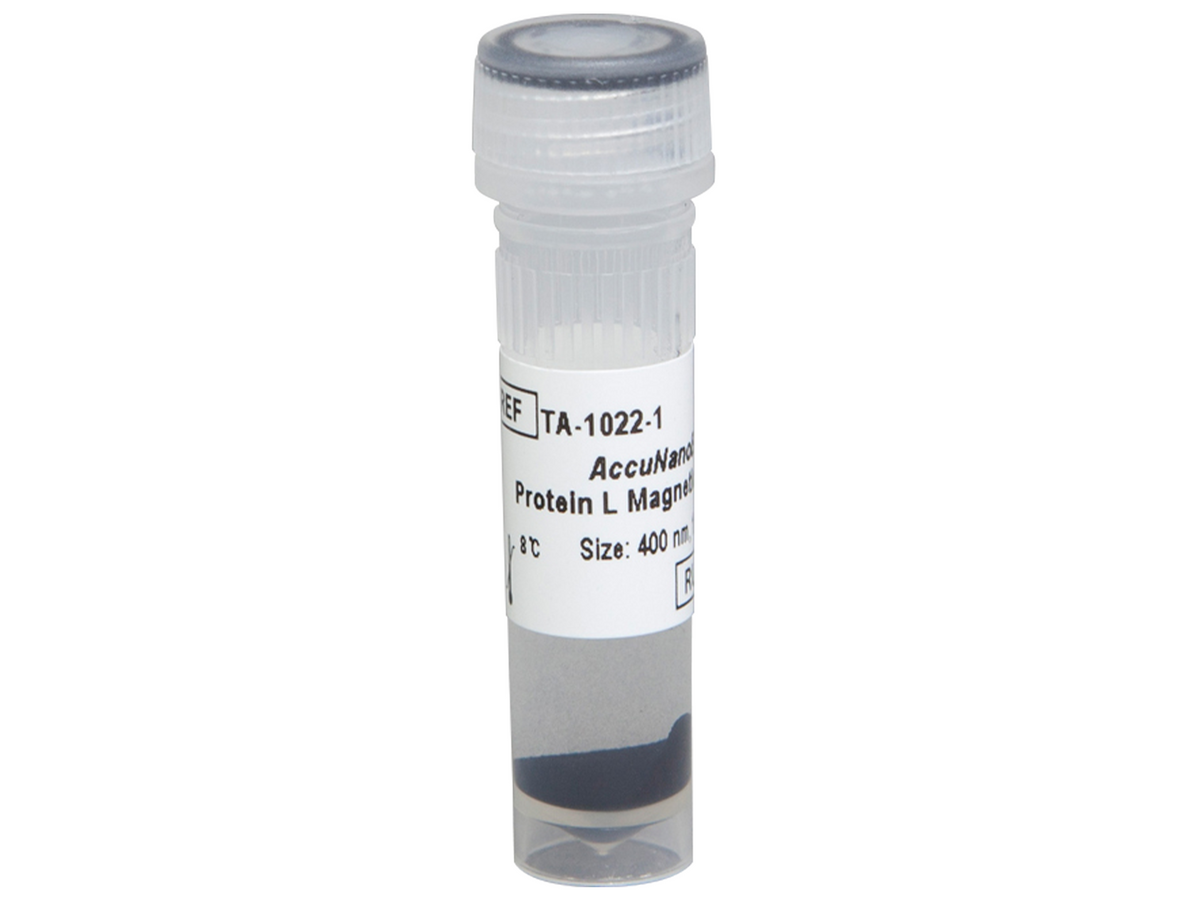 Bioneer AccuNanoBead Protein G Magnetic Nanobeads, Size 400nm (40 mg/1 ml, 5 ea) - MSE Supplies LLC