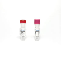 Tribioscience DZNep, Methyltransferase Inhibitor (TBI1524)