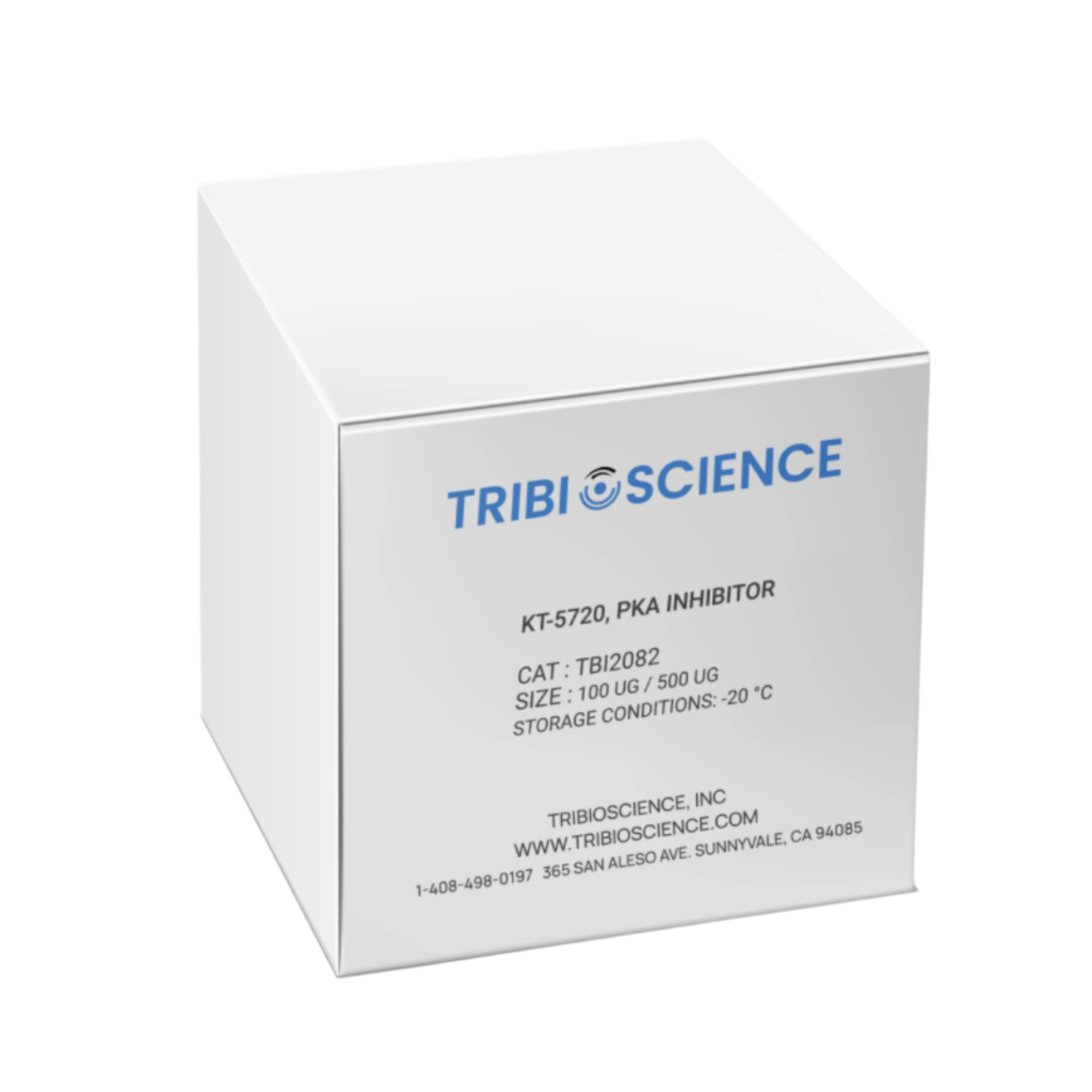 Tribioscience KT-5720, PKA Inhibitor (TBI2082)