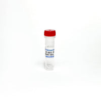 Tribioscience KT-5823, PKG Inhibitor (TBI2083)