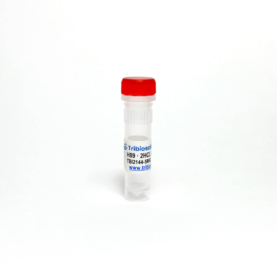 Tribioscience H89 · 2HCl, PKA Inhibitor (TBI2144)