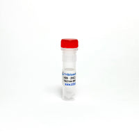 Tribioscience H89 · 2HCl, PKA Inhibitor (TBI2144)