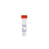 Tribioscience EHNA Hydrochloride, PDE2 and ADA Inhibitor (TBI2438)