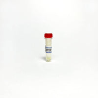 Tribioscience Palbociclib (PD0332991), CDK4 / CDK6 inhibitor (TBI4760)