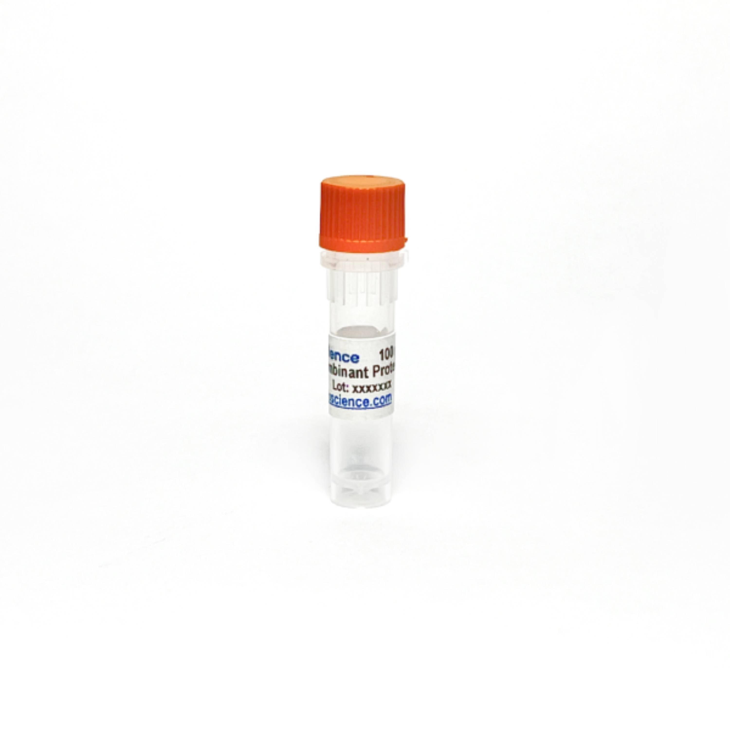 Tribioscience Human Nicotinamide N-Methyltransferase / NNMT Recombinant Protein, Bioactive (TBP0002)
