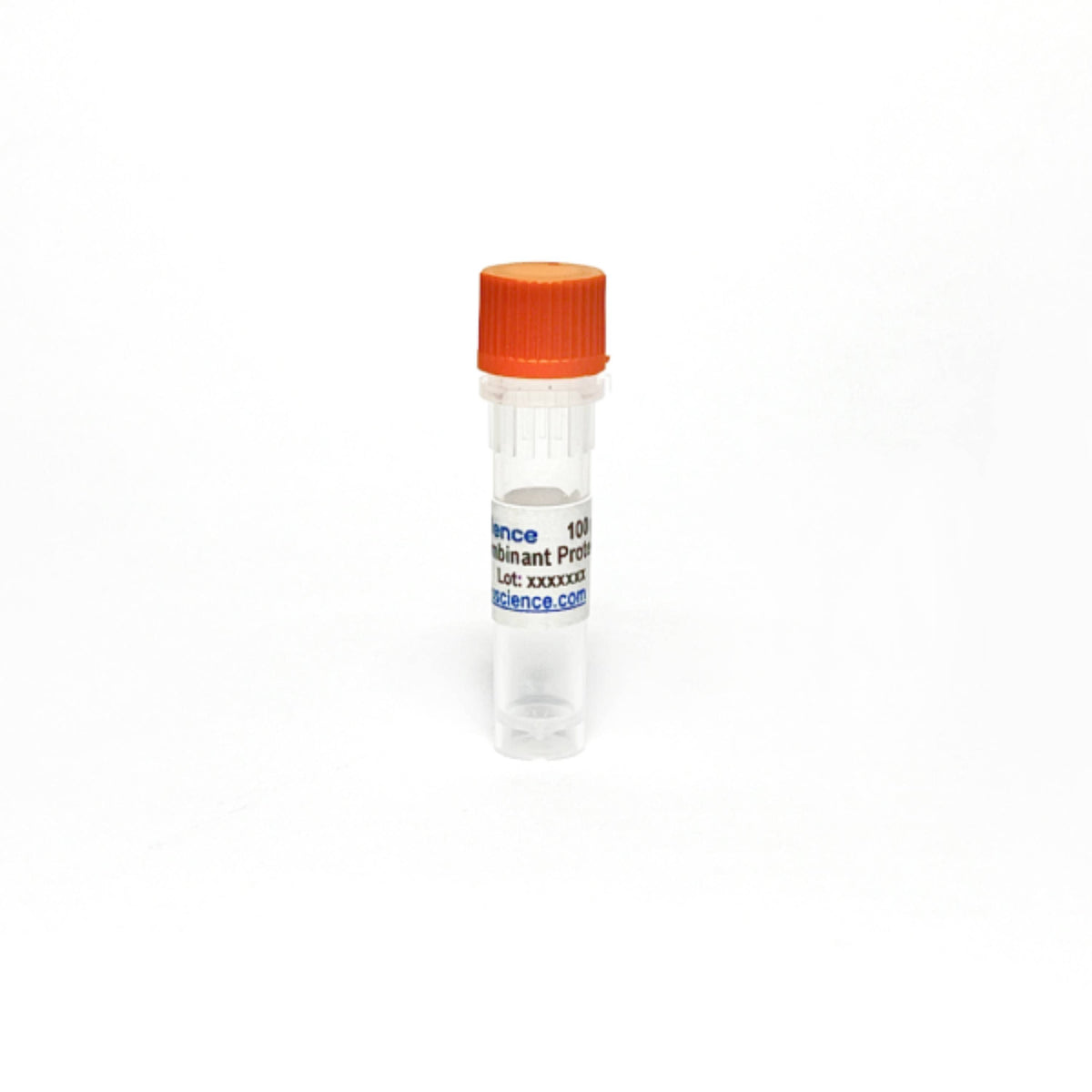 TribioscienceRecombinant Mouse CD38 Protein (His Tag), Enzymatic Activity (TBP0005)