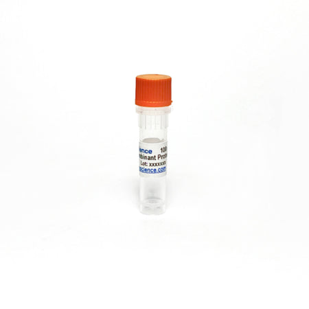 TribioscienceRecombinant Mouse CD38 Protein (His Tag), Enzymatic Activity (TBP0005)