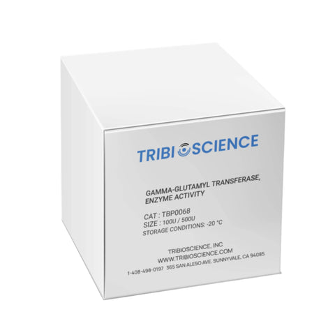 Tribioscience gamma-Glutamyl Transferase, Enzyme Activity (TBP0068)