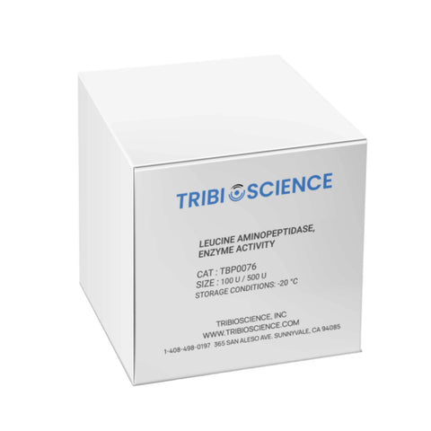Tribioscience Leucine Aminopeptidase, Enzyme Activity (TBP0076)