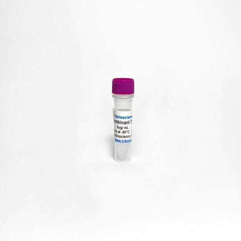 Tribioscience Recombinant human Tryptase Alpha/Beta-1 Protein, Enzyme Activity (TBP0099)