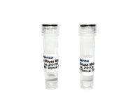 Tribioscience Benzodiazepine Monoclonal Antibody (TBS10002)