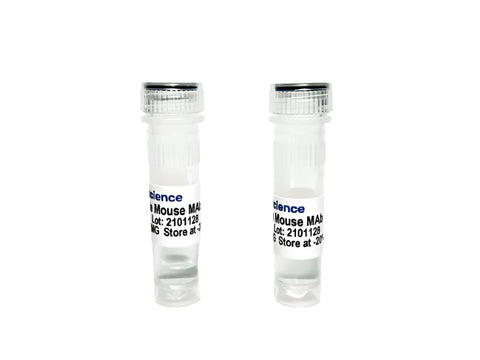 Tribioscience Buprenorphine Monoclonal Antibody (TBS10004)