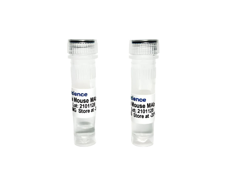 Tribioscience Anti-Beta-2 Microglobulin Monoclonal Antibody (TBS10006)