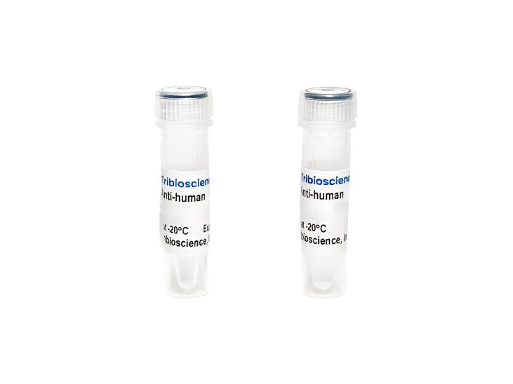Tribioscience Human Adrenocorticotropic Hormone (ACTH) Monoclonal Antibody (TBS10011)