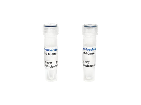 Tribioscience Human Adrenocorticotropic Hormone (ACTH) Monoclonal Antibody (TBS10011)