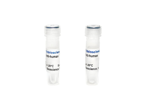Tribioscience Human Adrenocorticotropic Hormone (ACTH) Monoclonal Antibody (TBS10011)