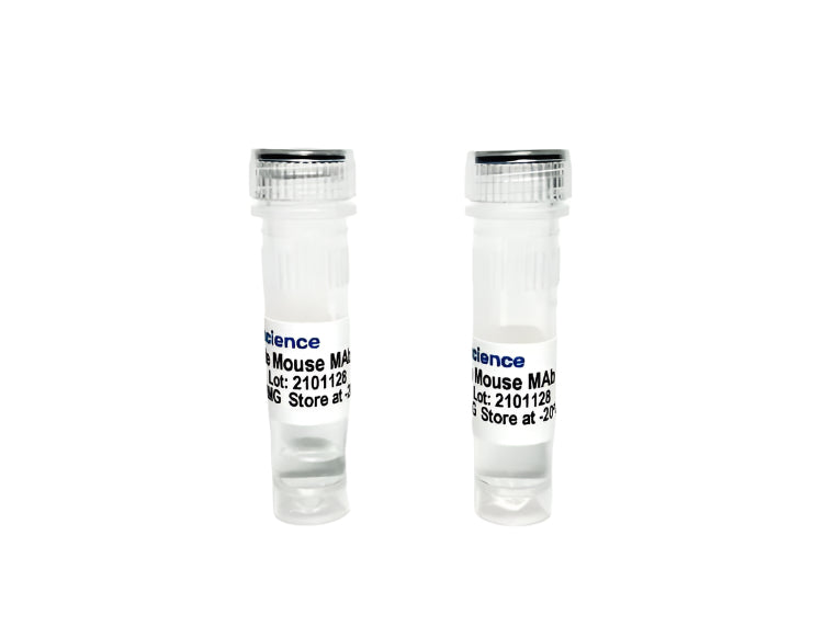 Tribioscience Antimullerian Hormone (AMH) Monoclonal Antibody (TBS10013)